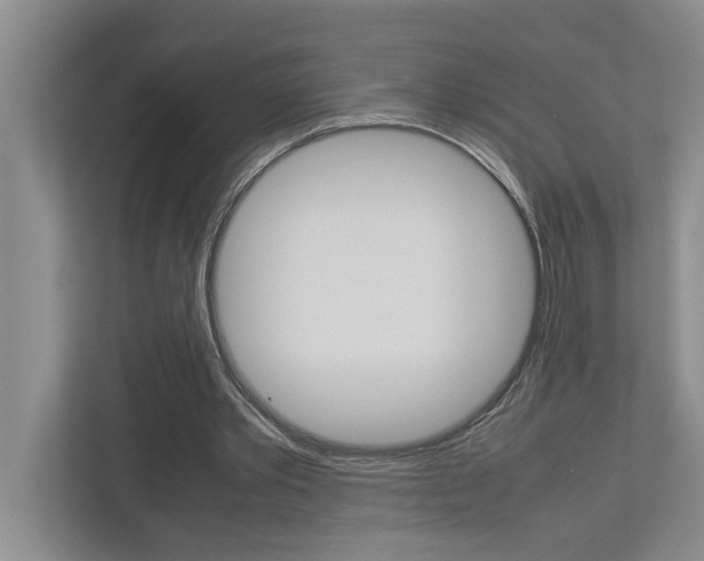 X0000113040389200908271039
