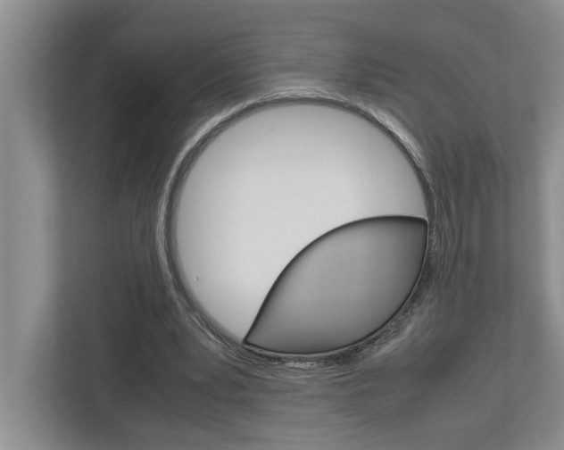X0000113040391200908271039