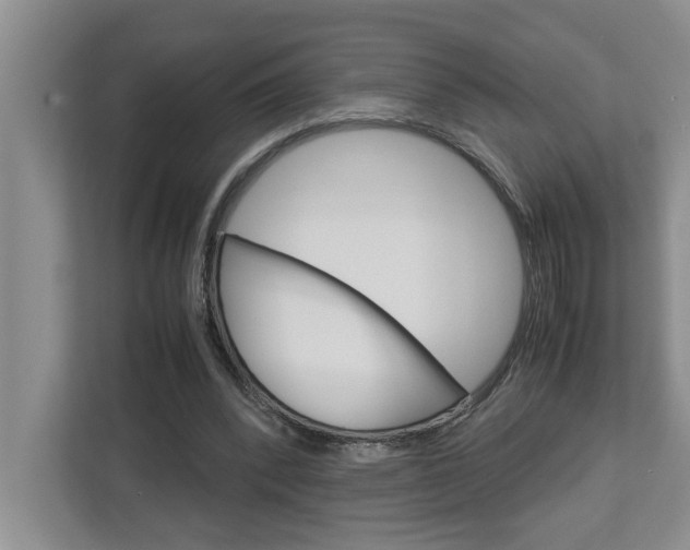 X0000113040392200908271039