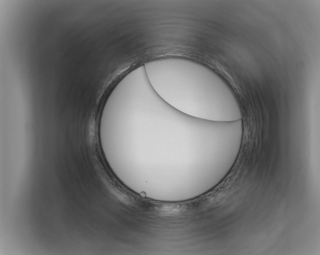 X0000113040394200908271039