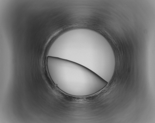 X0000113040396200908271039