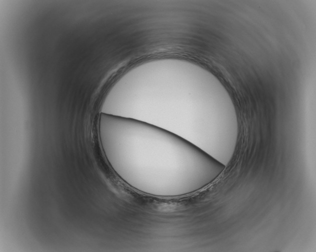 X0000113040400200908271039