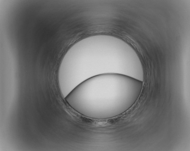 X0000113040401200908271039