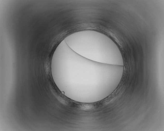 X0000113040402200908271039
