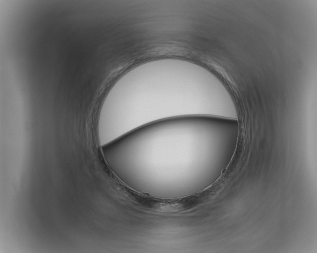 X0000113040403200908271038