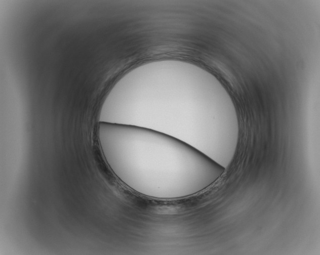 X0000113040404200908271038