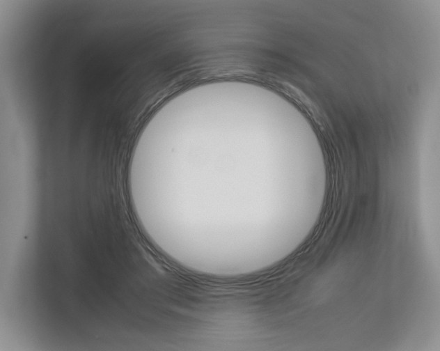 X0000113040405200908271038