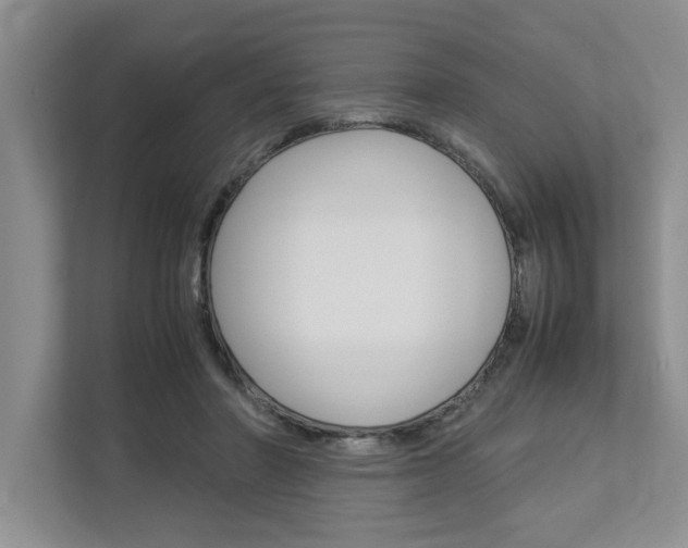 X0000113040406200908271038
