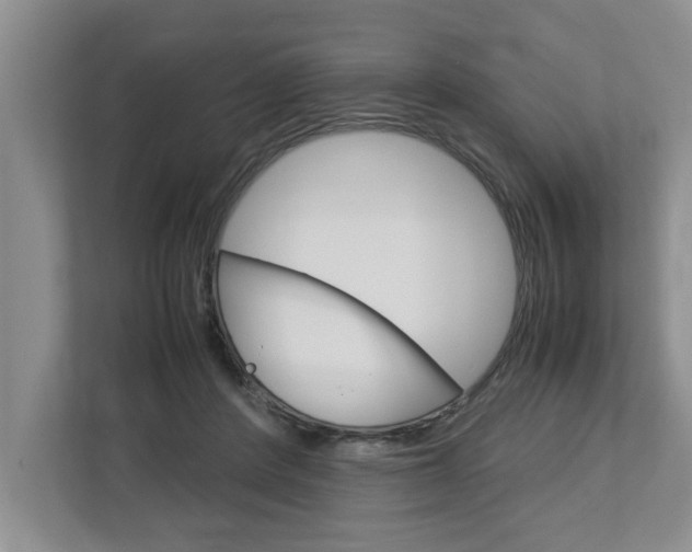 X0000113040408200908271038