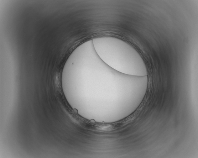X0000113040410200908271038