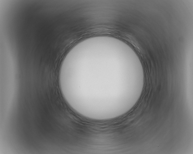X0000113040411200908271038