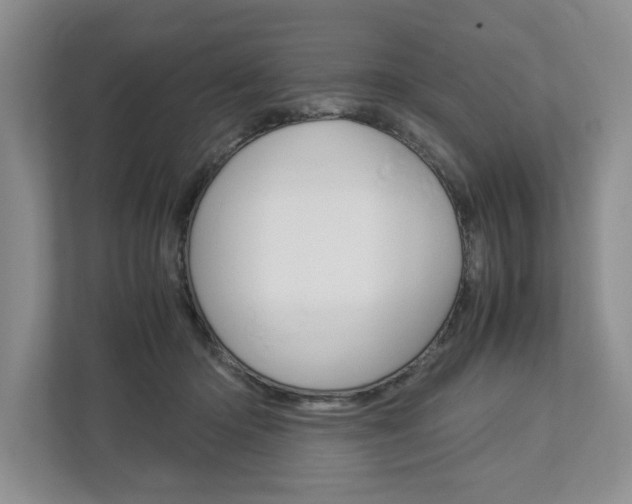X0000113040414200908271038