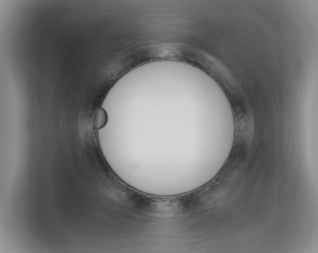 X0000113040415200908271038