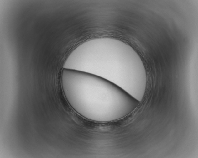 X0000113040416200908271038