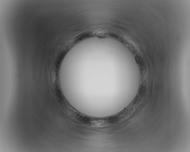 X0000113040417200908271038
