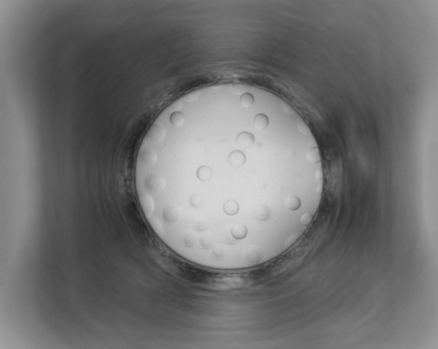 X0000113040418200908271038