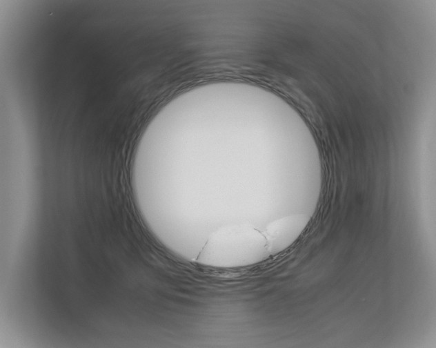 X0000113040419200908271038