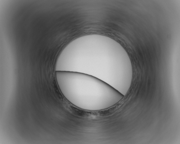 X0000113040420200908271038