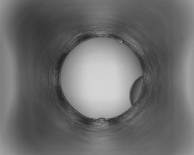 X0000113040421200908271038