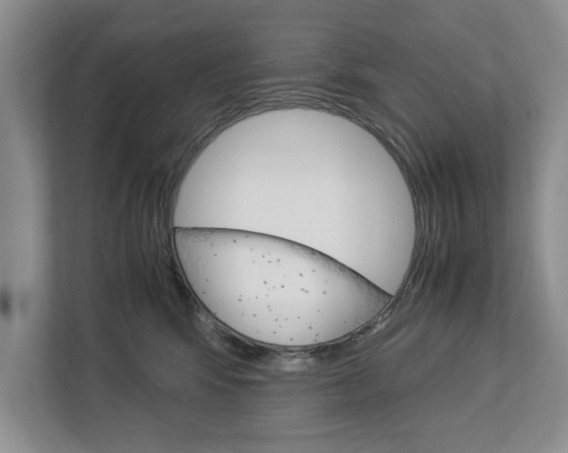 X0000113040424200908271038
