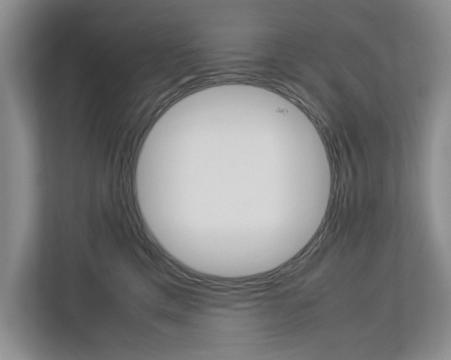 X0000113040425200908271038
