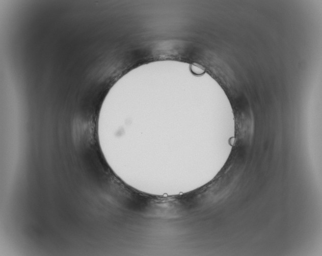 X0000113040427200908271038