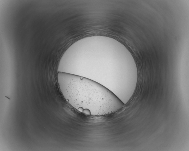 X0000113040428200908271038