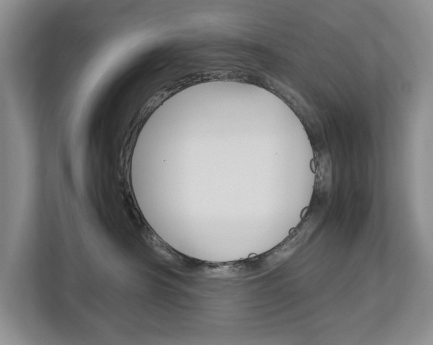 X0000113040430200908271038