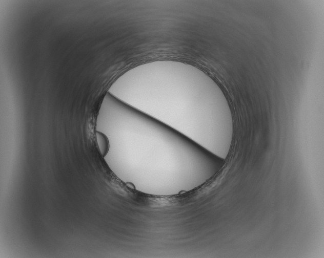 X0000113040432200908271038