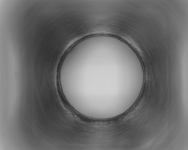 X0000113040434200908271037