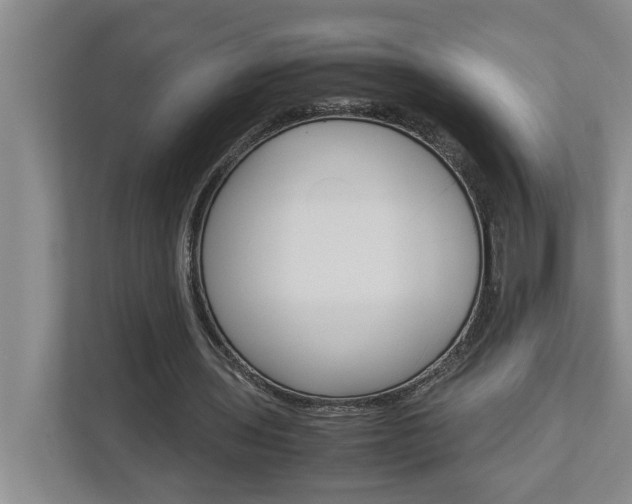 X0000113040435200908271038