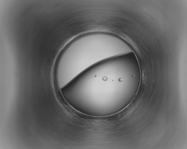 X0000113040436200908271038