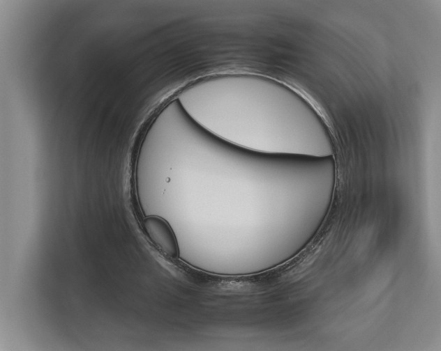 X0000113040437200908271038