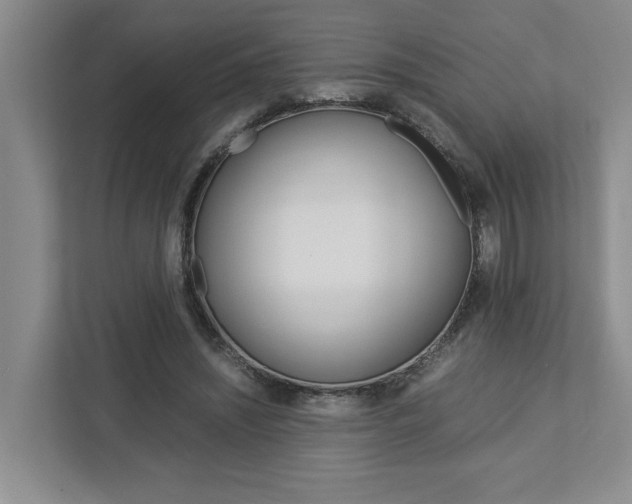 X0000113040444200908271038
