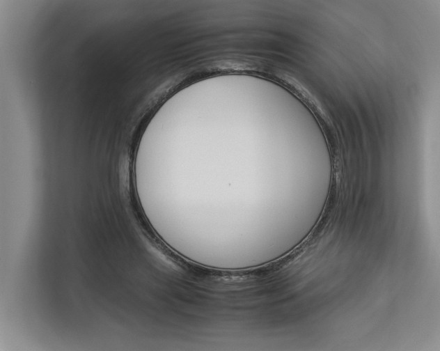 X0000113040445200908271038