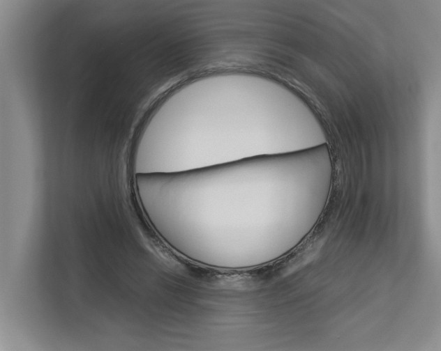 X0000113040446200908271038