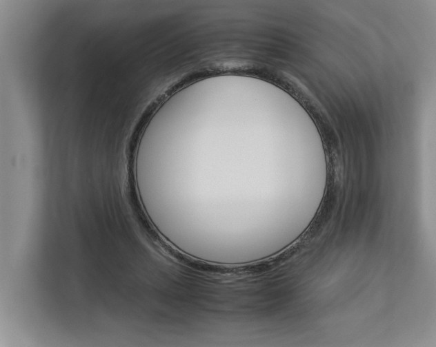 X0000113040447200908271038