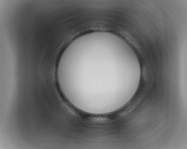 X0000113040449200908271038