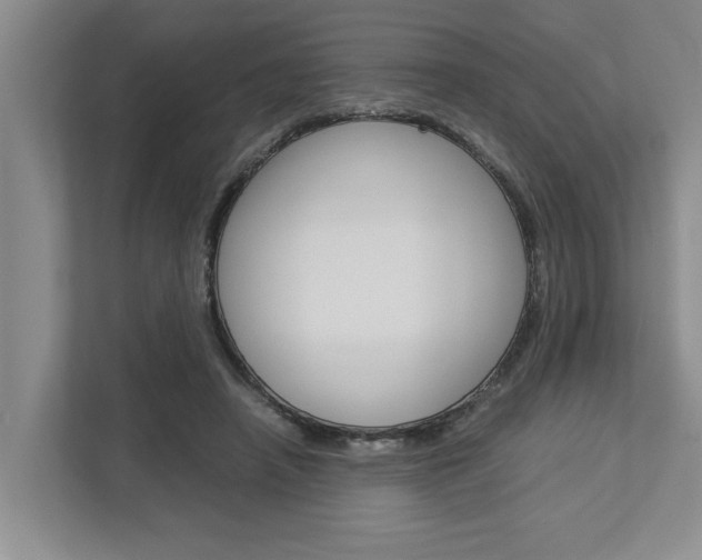 X0000113040450200908271038