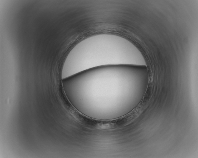 X0000113040452200908271038