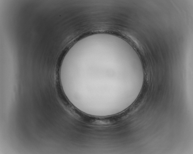 X0000113040455200908271038