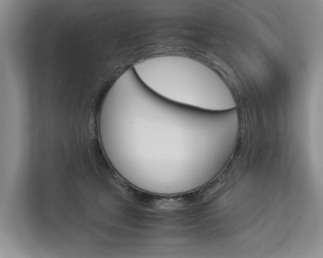 X0000113040465200908271038