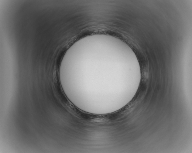 X0000113040468200908271038
