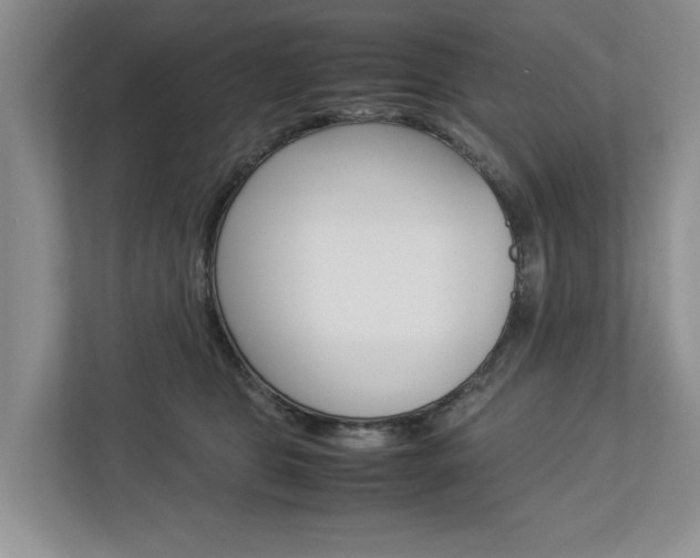 X0000113040469200908271038