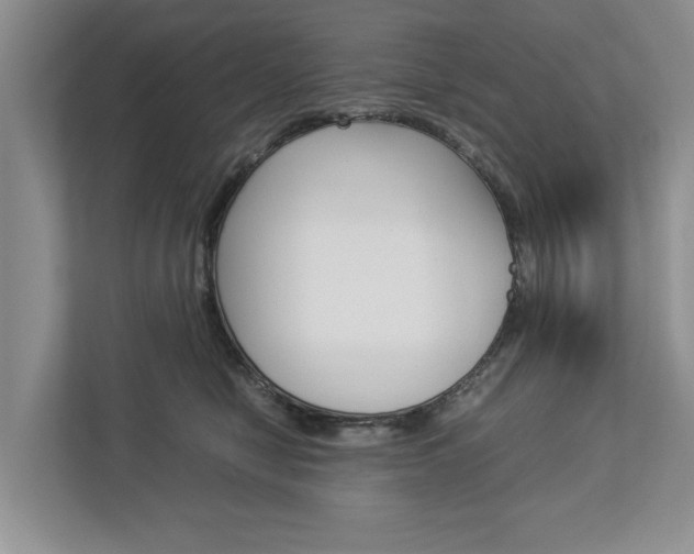 X0000113040470200908271038