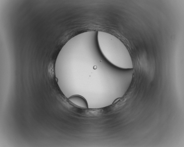 X0000113040479200908271038