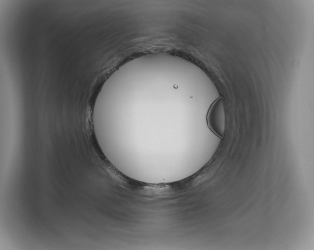 X0000113040480200908271038