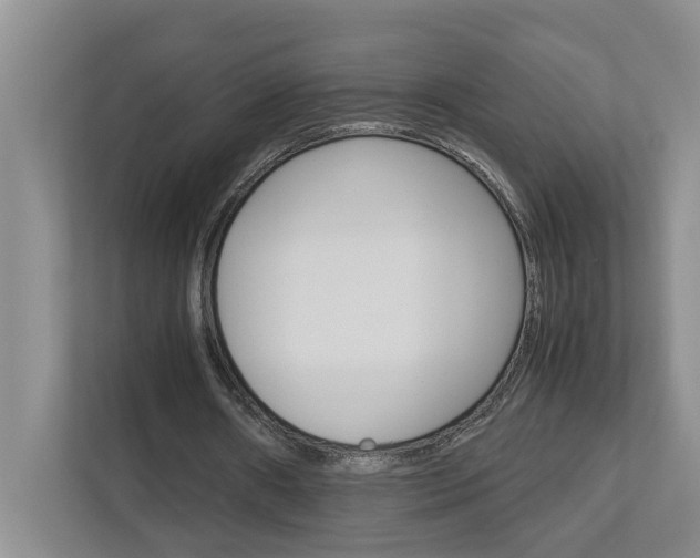 X0000113040482200908271037