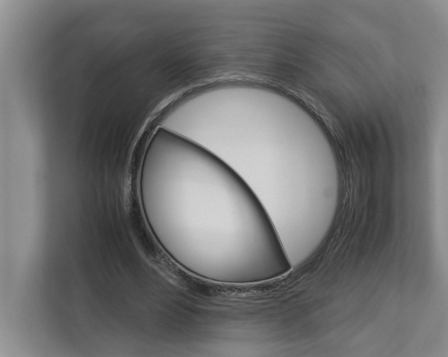 X0000113040488200908271037