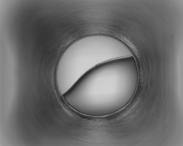 X0000113040489200908271037